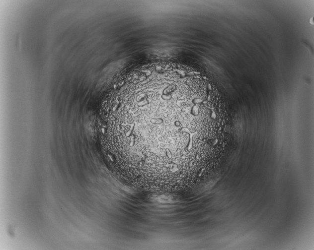 X0000102260181200808011413