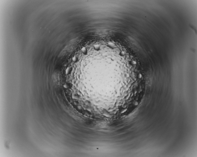 X0000102260182200808011413