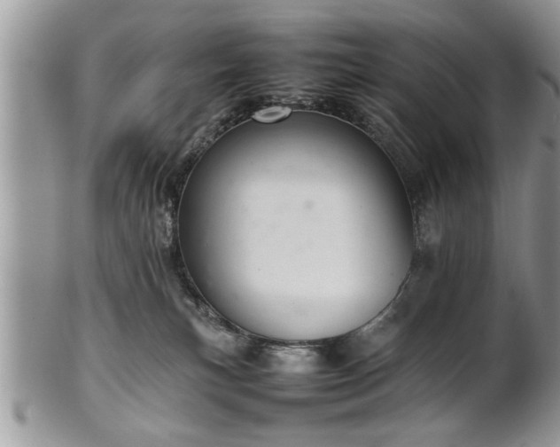 X0000102260183200808011413