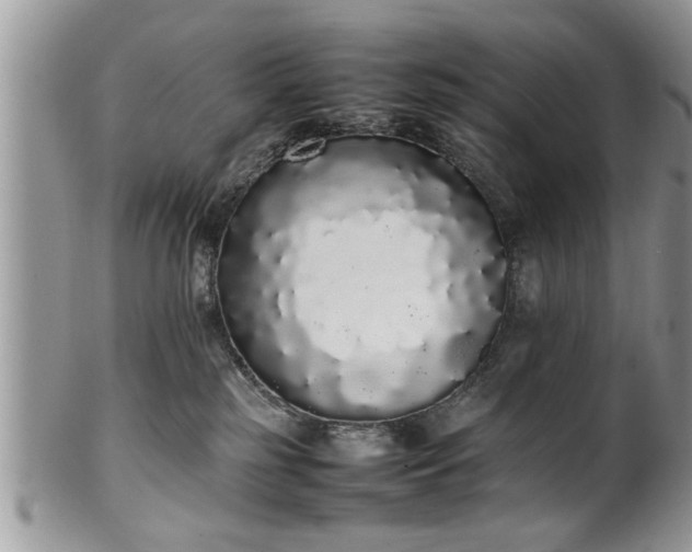 X0000102260185200808011413