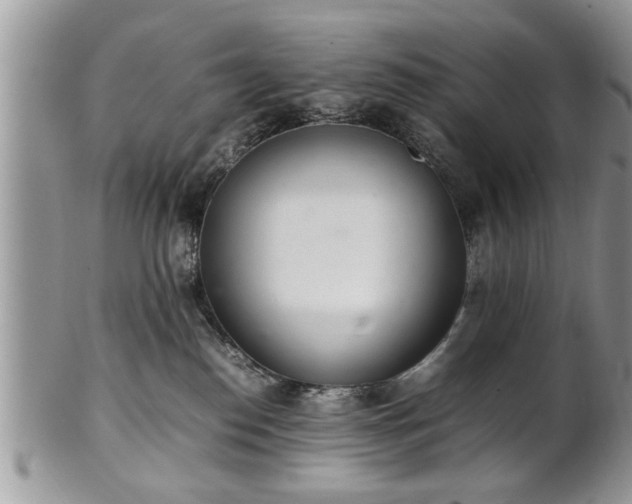 X0000102260186200808011413