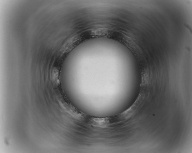 X0000102260187200808011413