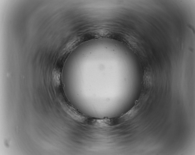 X0000102260188200808011413