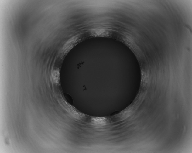 X0000102260189200808011413