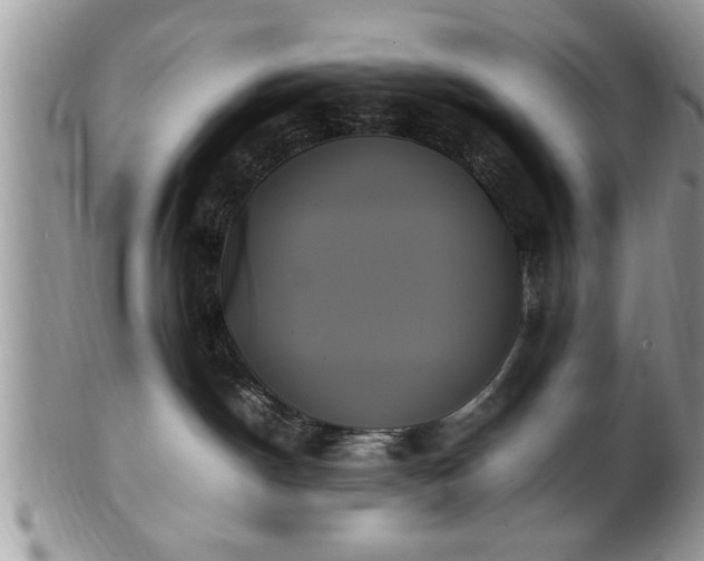 X0000102260190200808011413