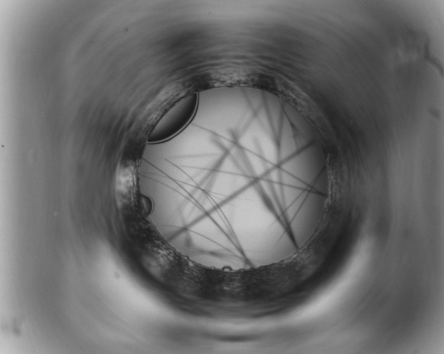 X0000102260191200808011413