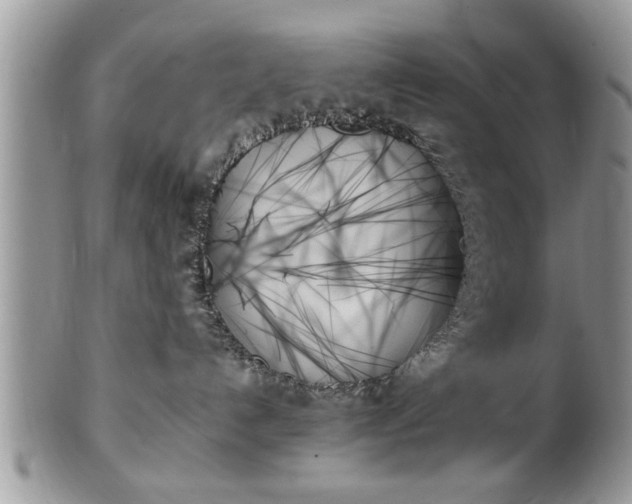 X0000102260192200808011413