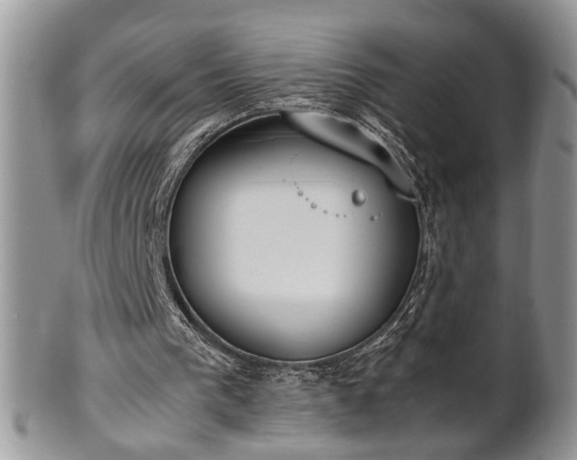 X0000102260193200808011412