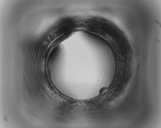 X0000102260194200808011412