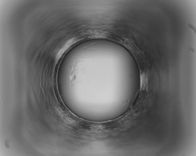 X0000102260195200808011412