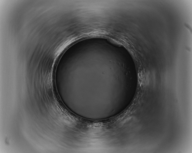 X0000102260196200808011412