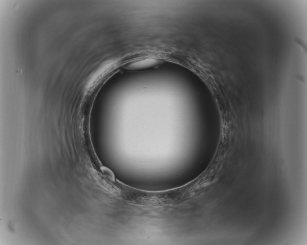 X0000102260197200808011412