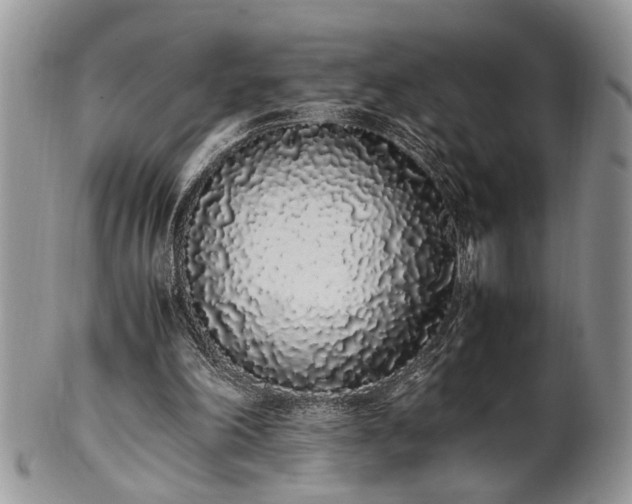 X0000102260198200808011412