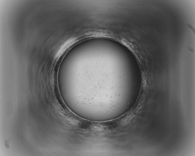 X0000102260199200808011412