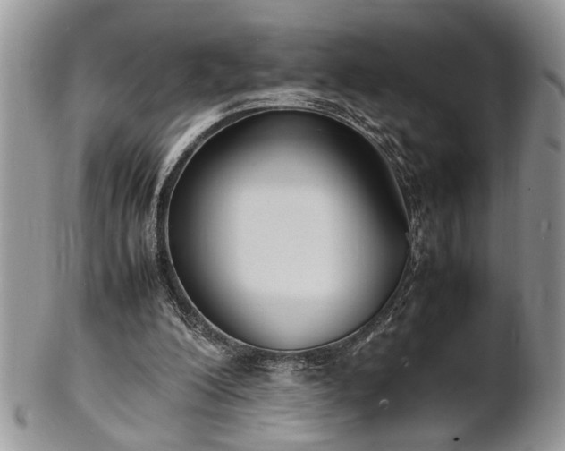 X0000102260200200808011412