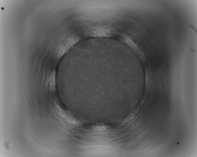 X0000102260202200808011412