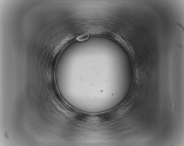 X0000102260203200808011412