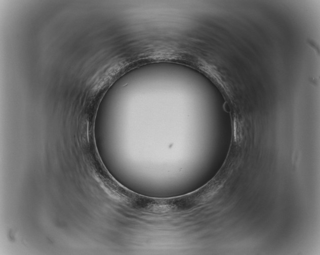 X0000102260205200808011412