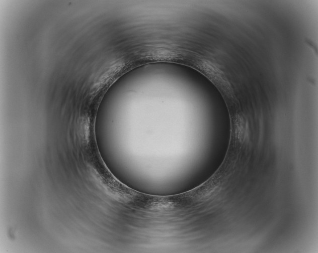 X0000102260206200808011412