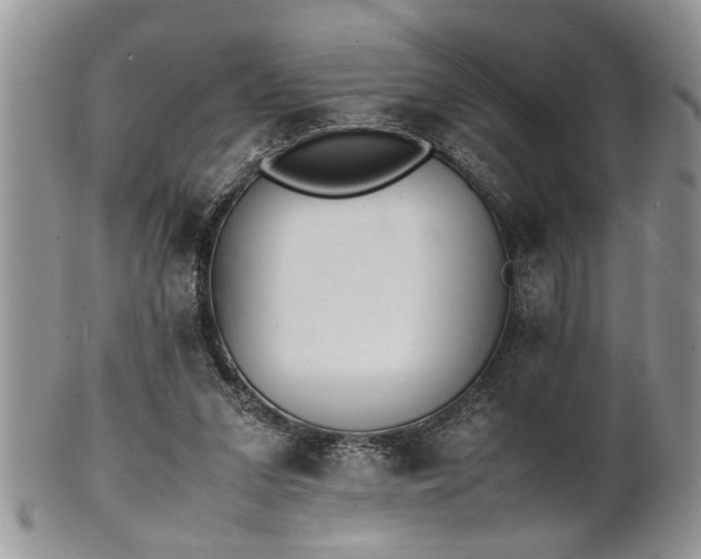 X0000102260207200808011412