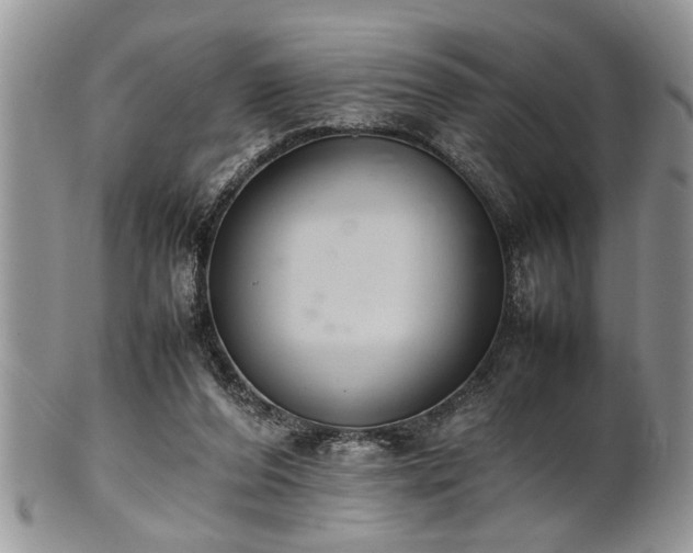 X0000102260208200808011412