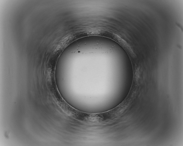 X0000102260209200808011412