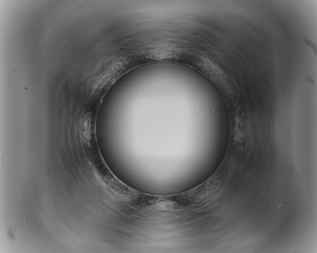 X0000102260210200808011412