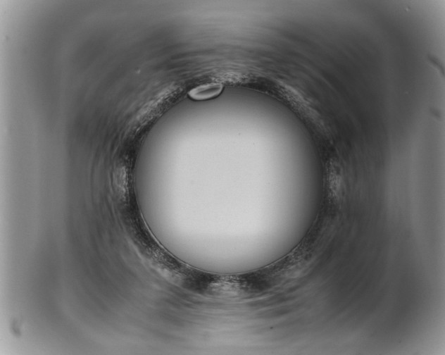 X0000102260211200808011412