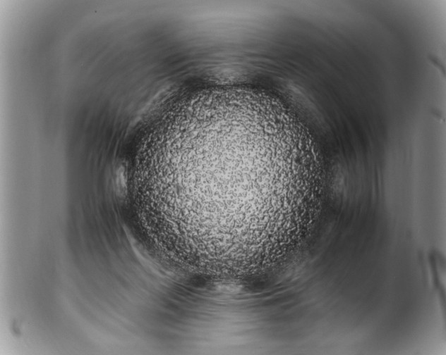 X0000102260214200808011412