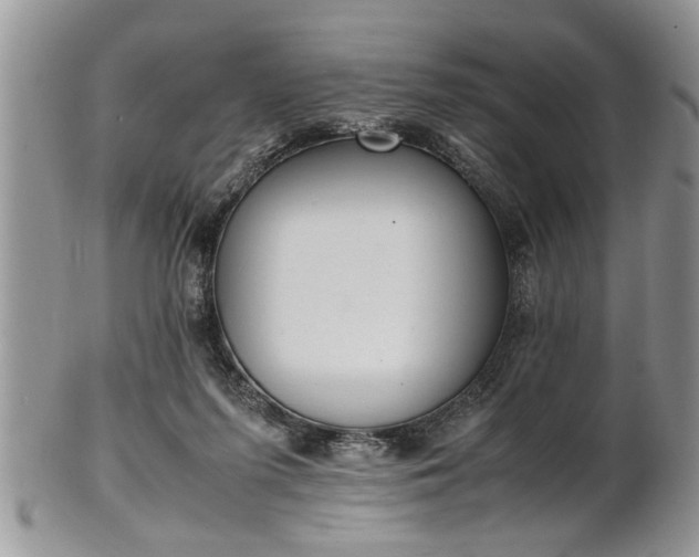 X0000102260215200808011412