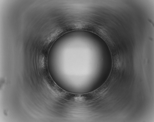 X0000102260216200808011412