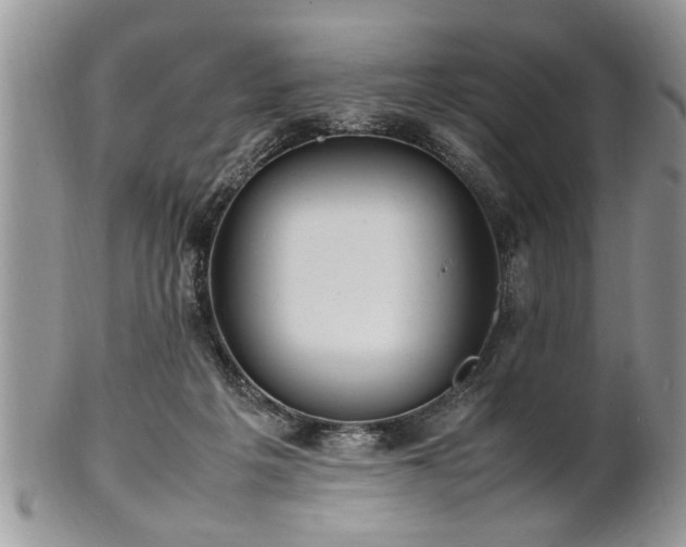 X0000102260217200808011412