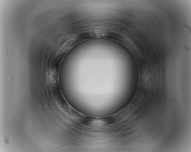 X0000102260218200808011412