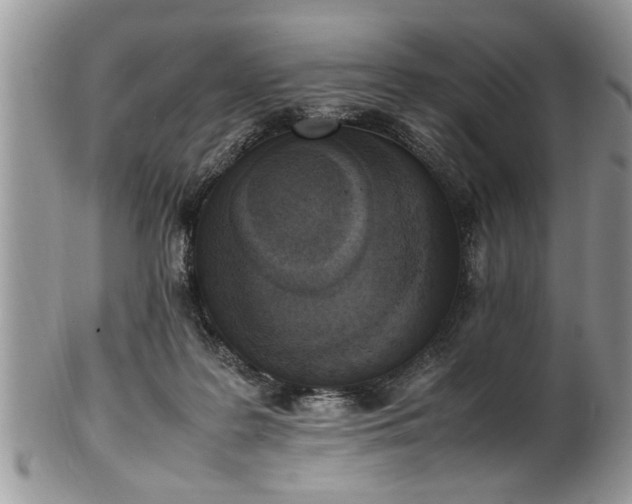 X0000102260219200808011412