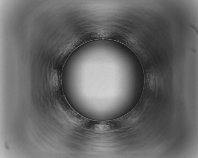 X0000102260220200808011412