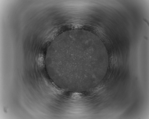 X0000102260222200808011412