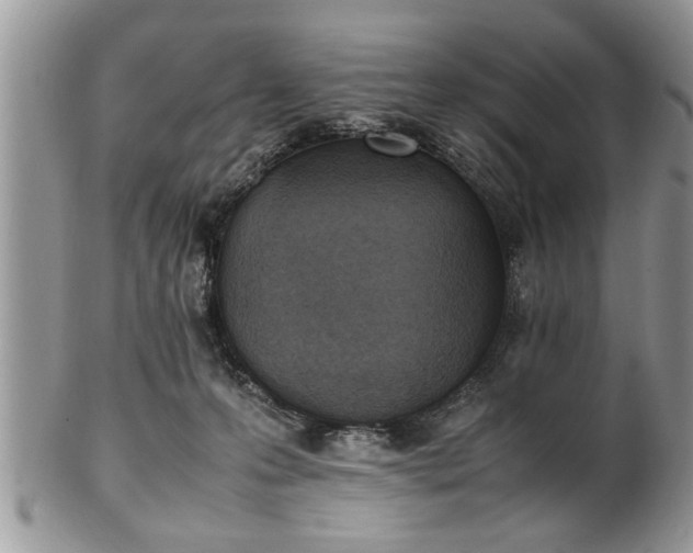 X0000102260223200808011412