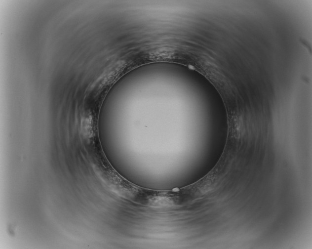 X0000102260224200808011412