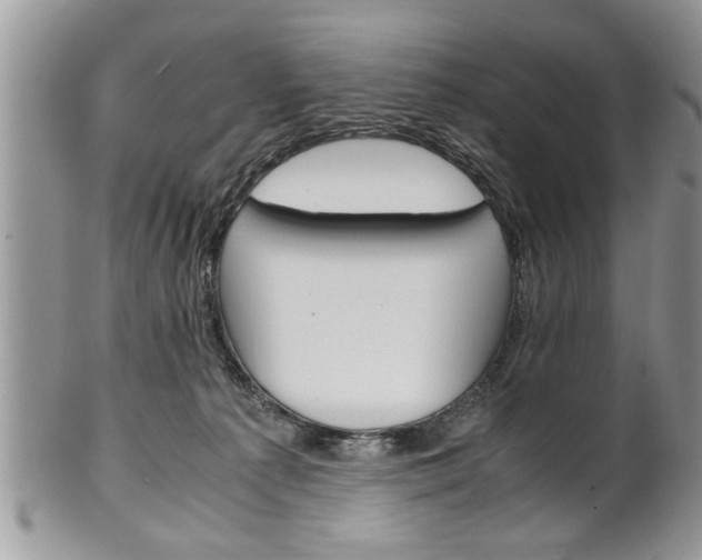 X0000102260225200808011412