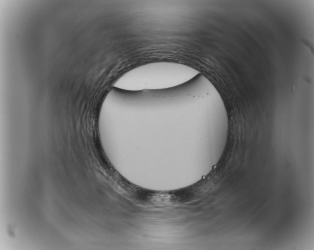 X0000102260227200808011412