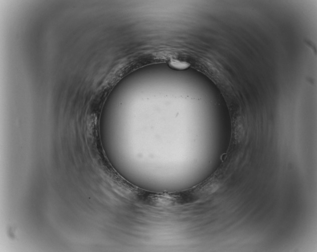 X0000102260229200808011412