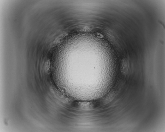 X0000102260230200808011412