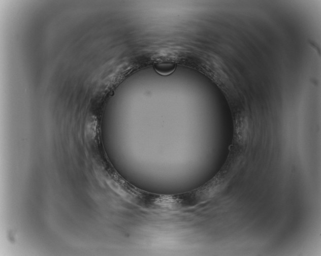 X0000102260231200808011412