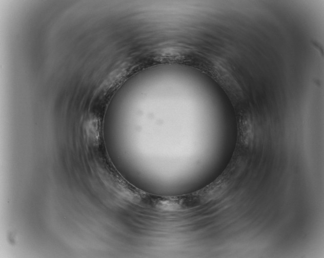 X0000102260232200808011412