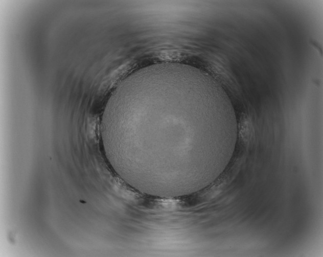 X0000102260233200808011412