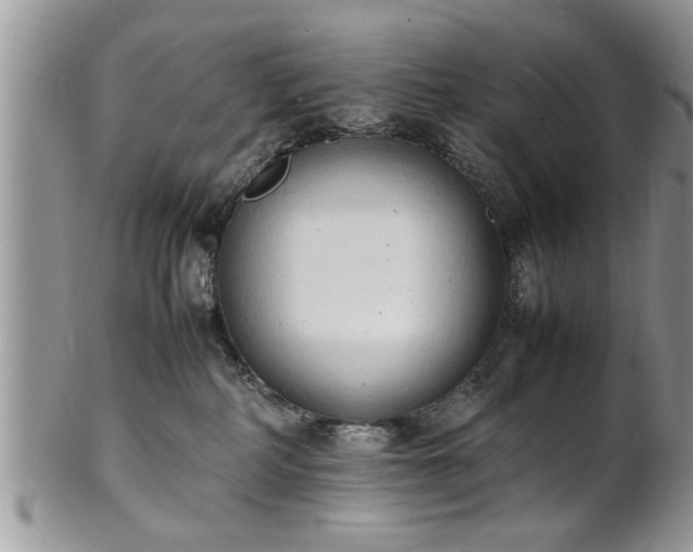 X0000102260234200808011412