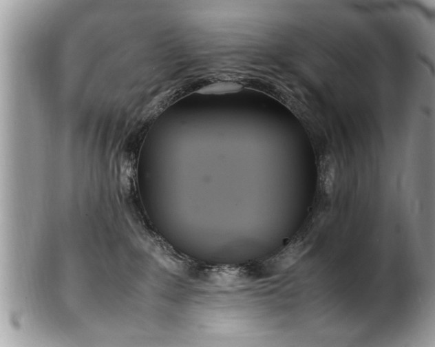 X0000102260235200808011412