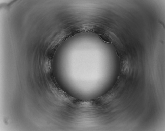 X0000102260236200808011412