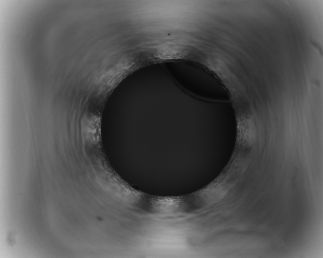 X0000102260237200808011412