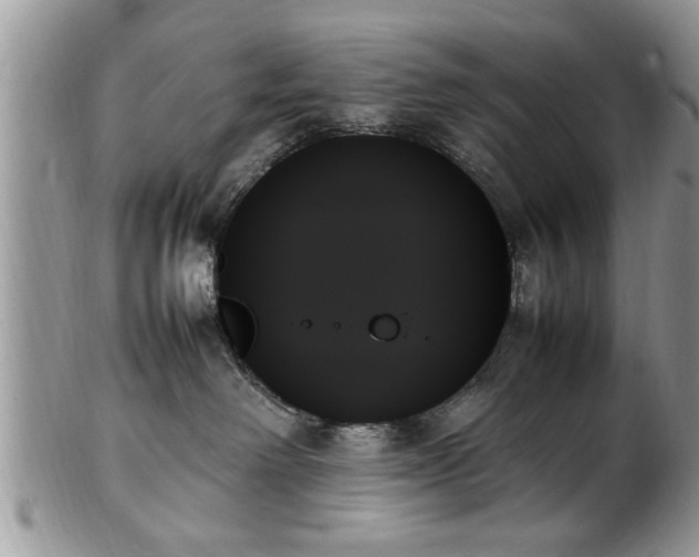 X0000102260238200808011412